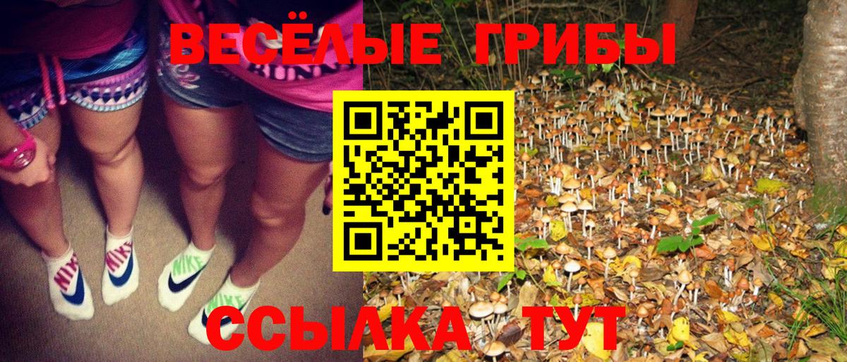 Галлюциногенные грибы мухоморы  Вход с VPN  Трёхгорный 