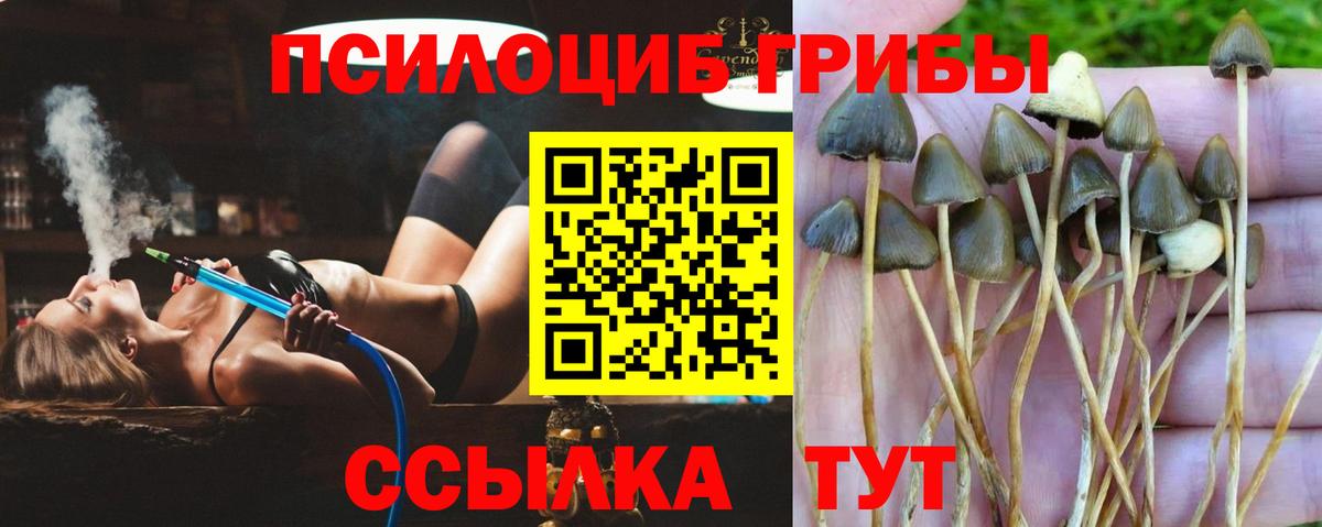 Галлюциногенные грибы мицелий Трёхгорный